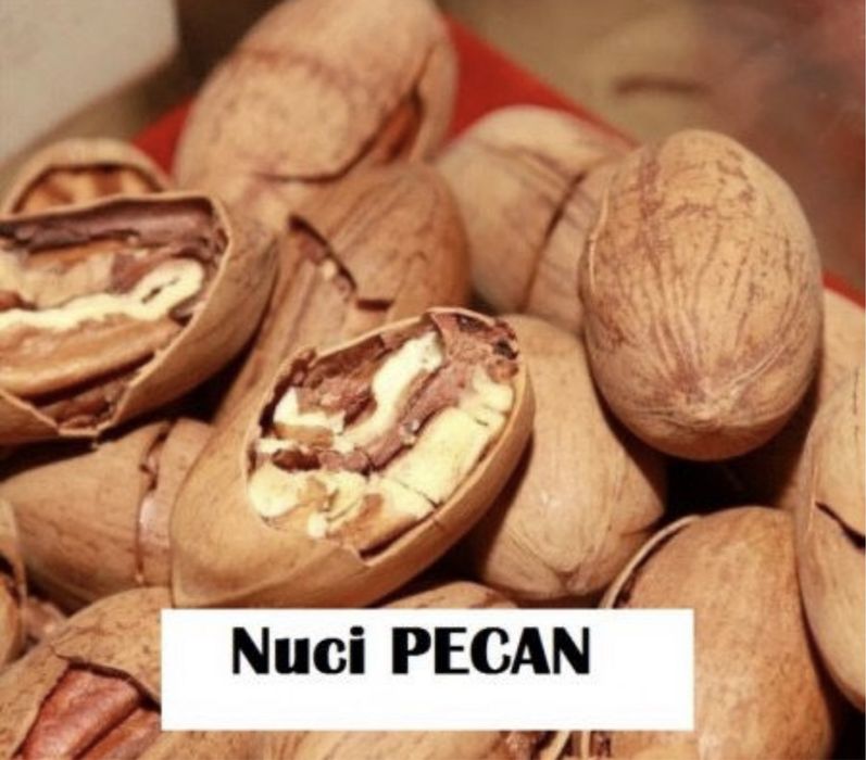 Nuc pecan soi productiv