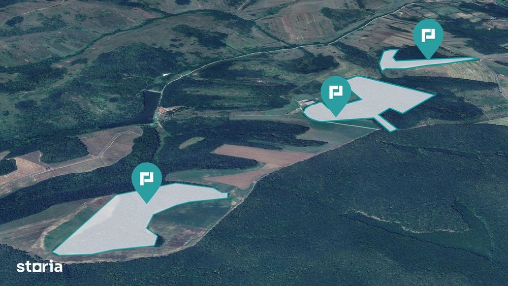 Pădure 50,7 ha în județul Arad