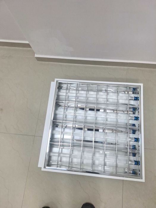 Пурени крушки в снойки 5 броя