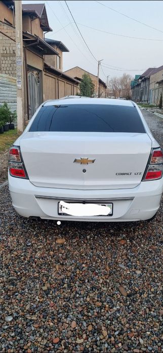 Cobilt 2025 metan bor