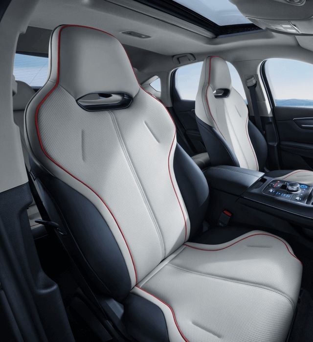 Byd chazor Luxe 55-km