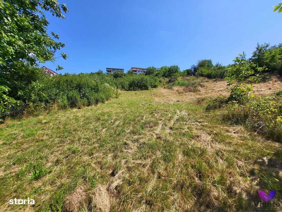 Teren Intravilan 546 mp | Panorama deosebita | PUZ in lucru
