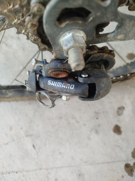 BMW велик все хорошо