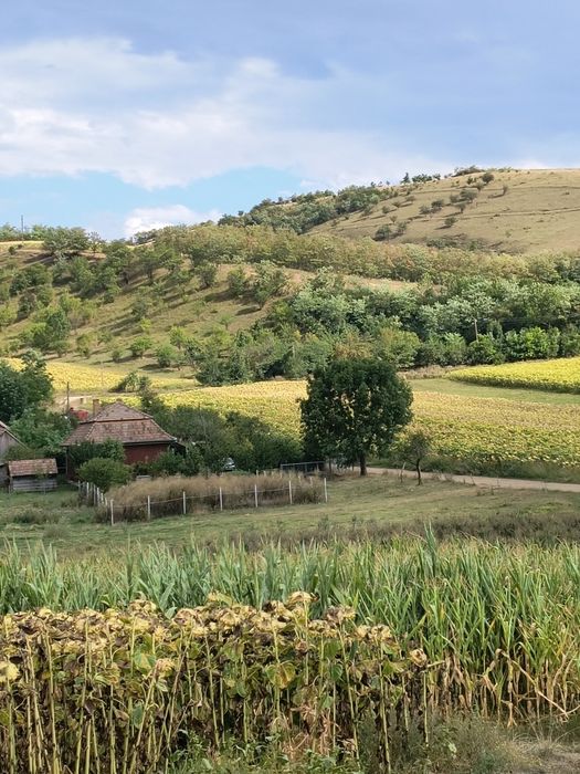 Casă – Sanger - Vedere 2
