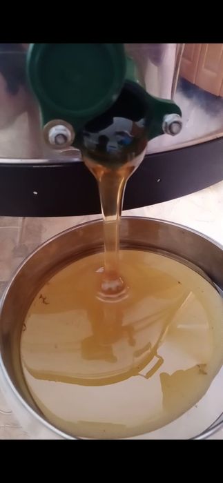 Лесное разнотравие