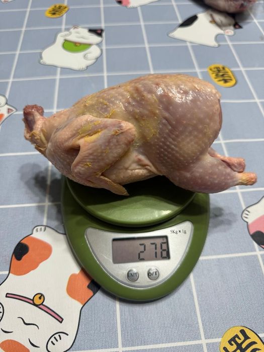 Продам мясо перепелов