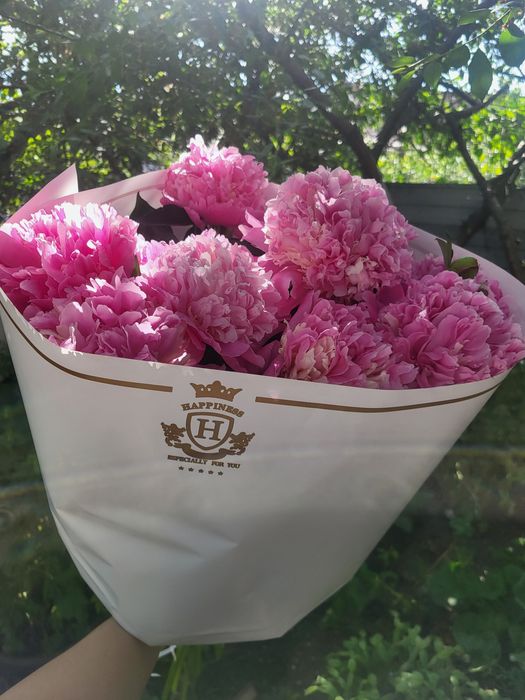 Пионы свежесрезанные