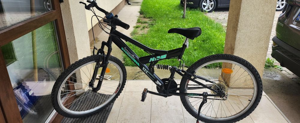 Bicicletă de adult