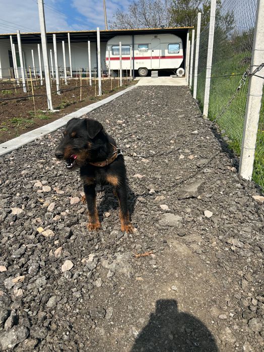 Петър Стойков неделчев