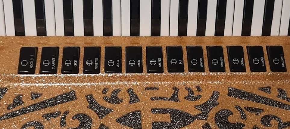 Acordeon cassotto 2+2