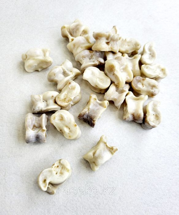 Продам асык қойдын