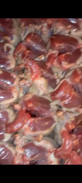 Жабаиы тау кептері