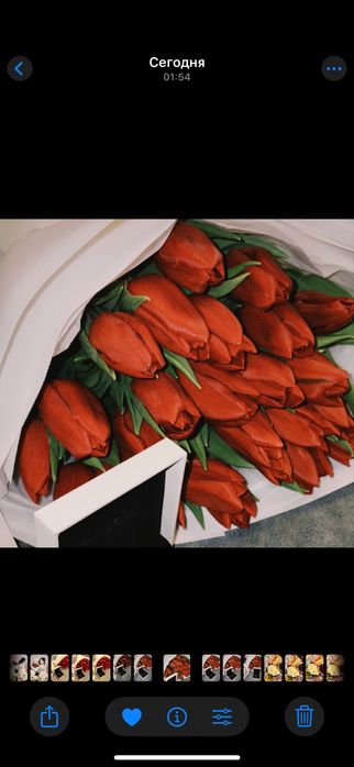 Тюльпаны, 25 шт.