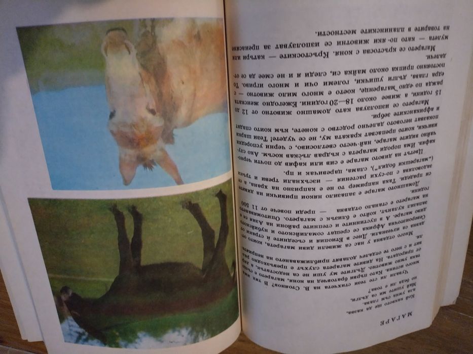 Енциклопедия за растения и животни