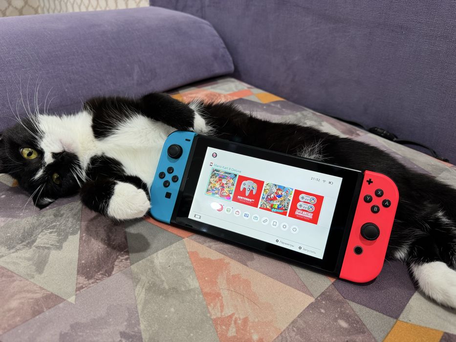 Nintendo switch (2-ревизия)
