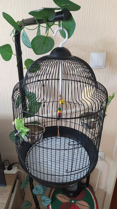 Продам клетку на подставке.