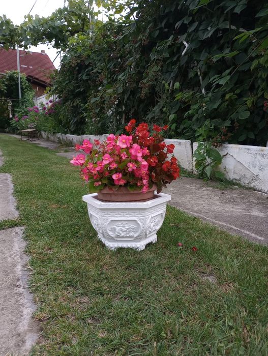Ghivece de flori