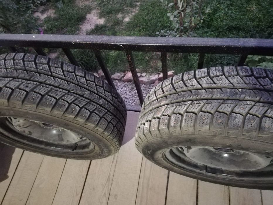 Қысқы балондар шипы дискасымен