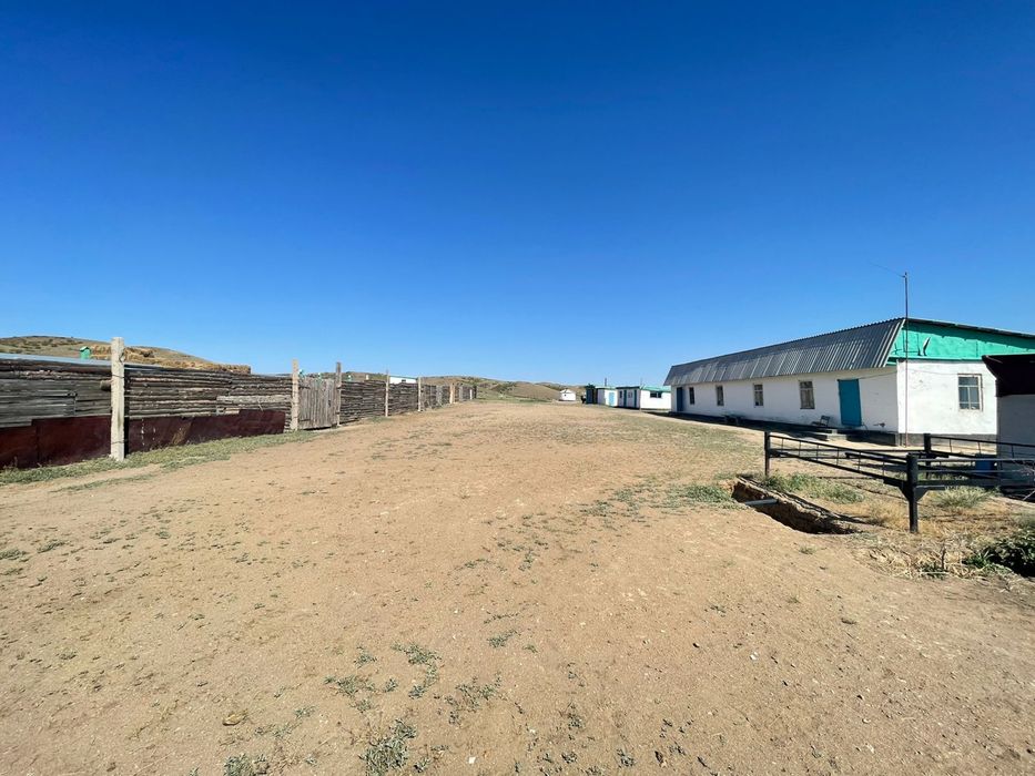 Крестьянское хозяйство