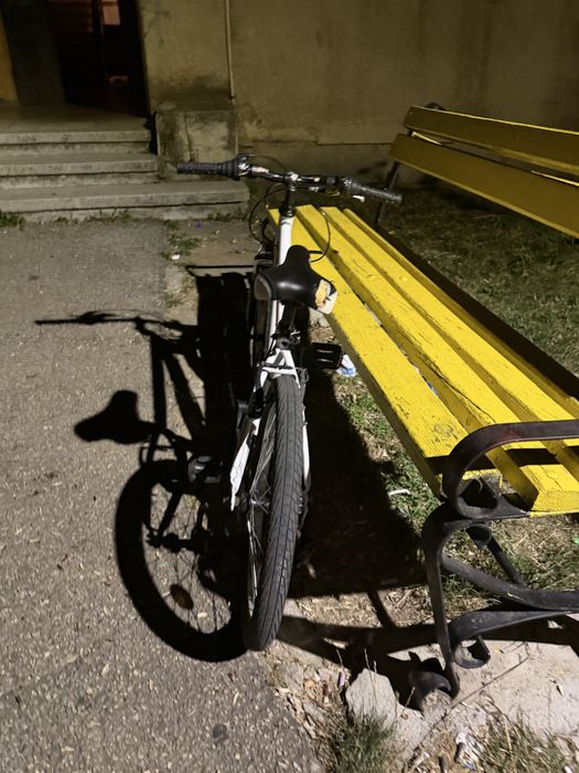 Bicicletă rookie 20