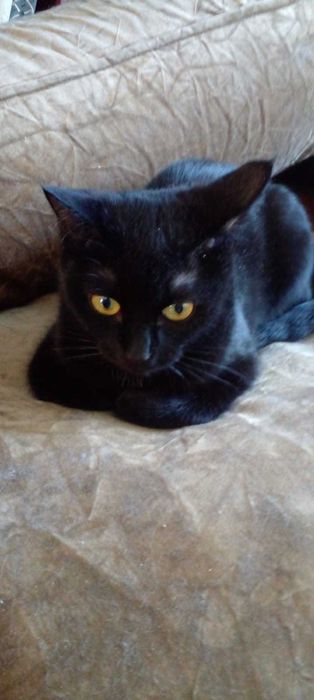 Помогите устроить