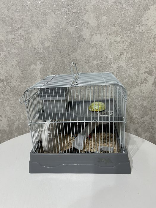 Продам хомячка с клеткой