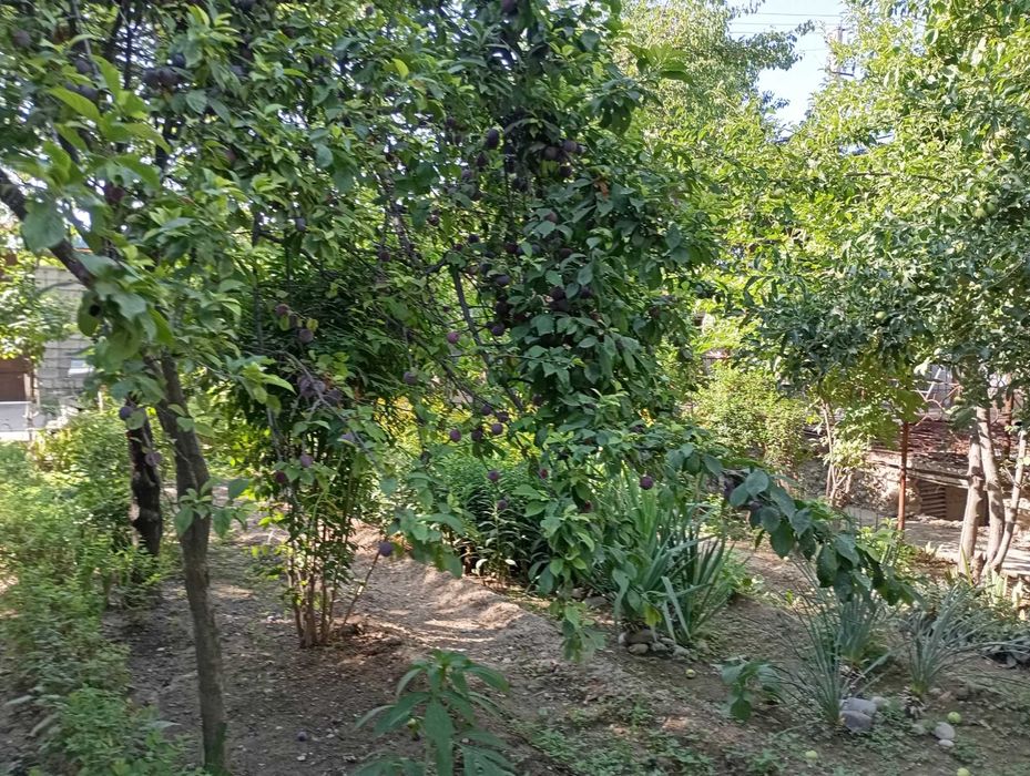 Участок 6 соток,дача