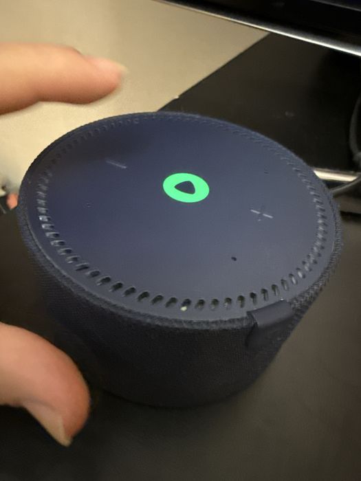 Алиса мини продам 20 тыс торг