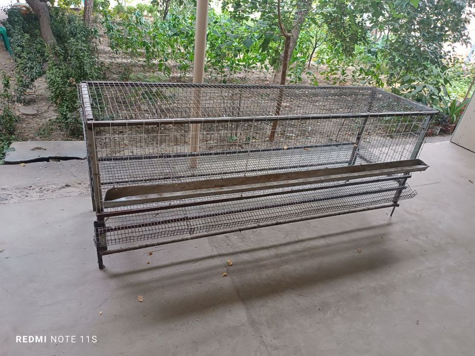 Клетки для курица