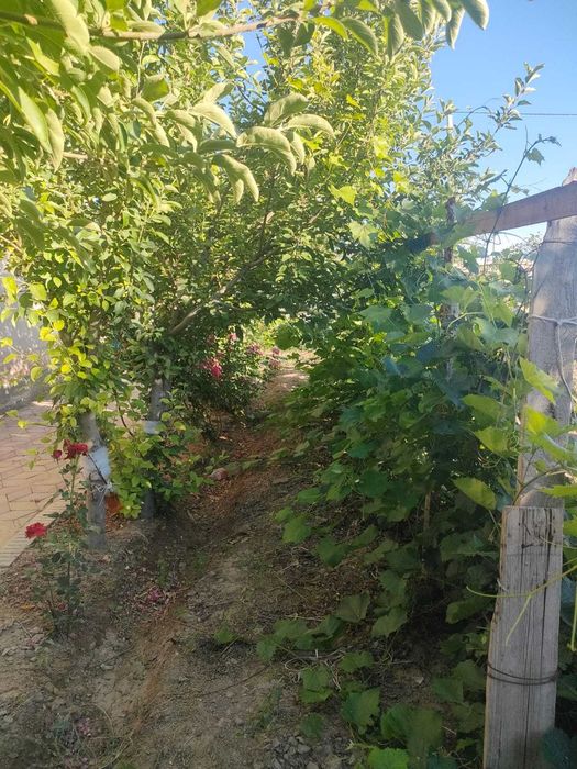 Сабалақта  мансард сатылады.