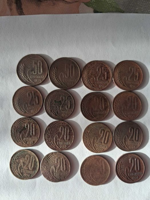 Български социалистически пари