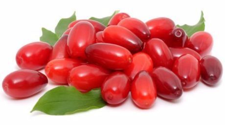 Саженцы  Кизила плодоносящие