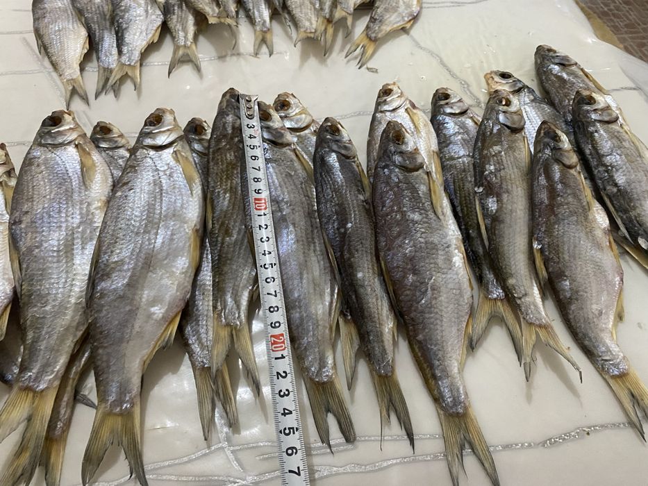 Кепкен вяленный ребец