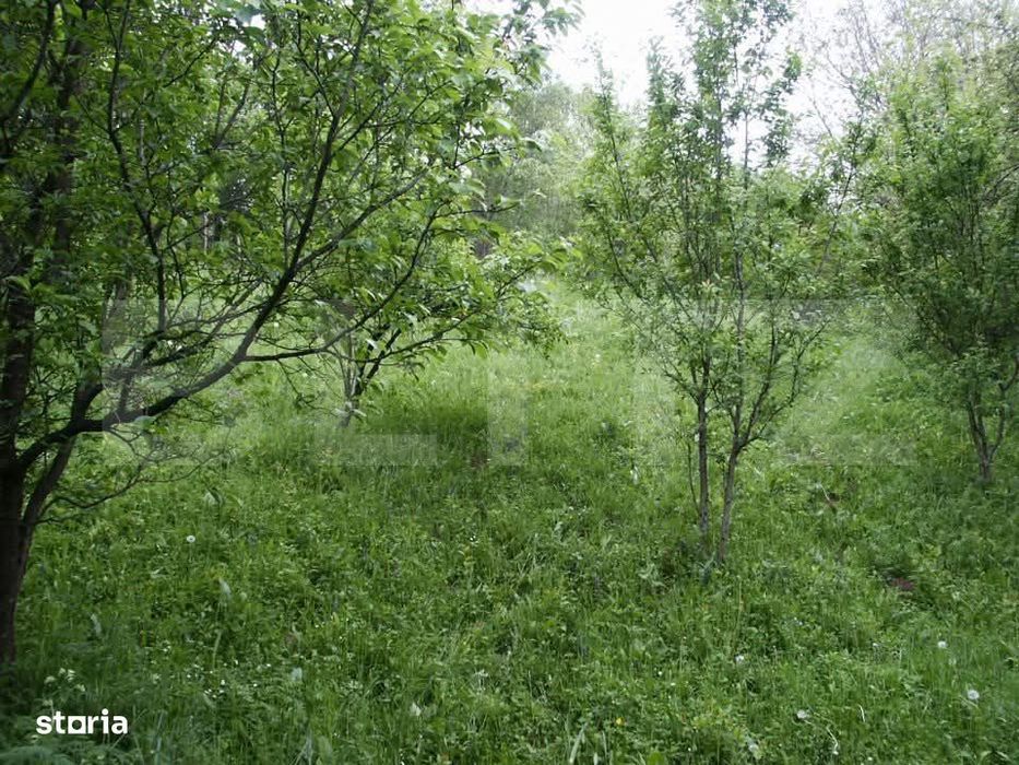 Teren de vanzare, 884 mp, zona Runcu