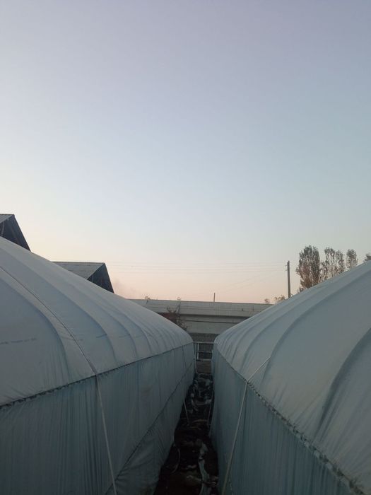 Теплица сотилади 25-7