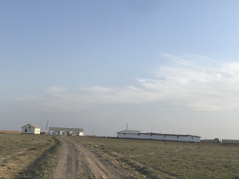 Қора мал кора фазенда бордақы