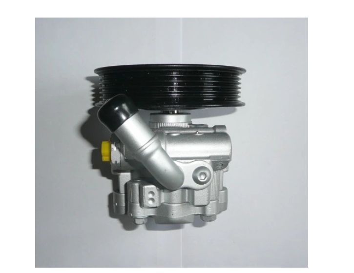 Pompa servodirectie Dodge Charger, 06.2005-12.2010, Challenger 2007-2024; Chrysler 300C (LX), 2004-2011, 2.7, 3.5, 5.7, 6.1 SRT8, 3.5 AWD, 5.7 AWD, 3.6, 5.7 R/T, hidraulica, RapidAuto