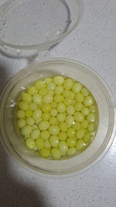 Улитка тухуми. Яица улиток свежие