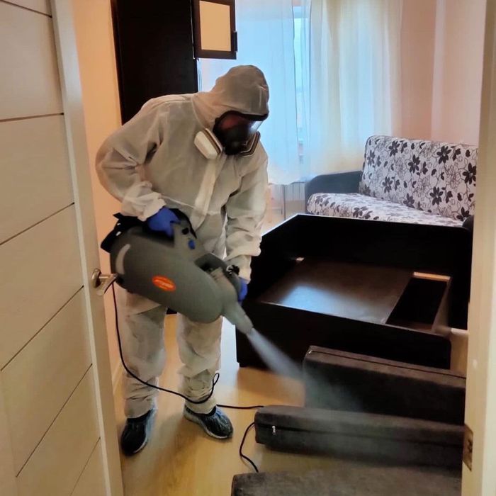 Дизенфекция дезинфекция клапа таракан Dizenfeksiya Dezinfeksiya klapa