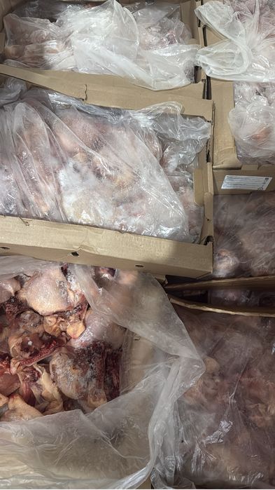 Мясо курицы оптом