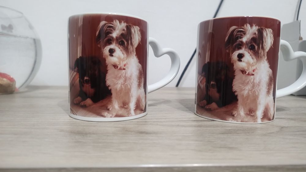 Căni cani personalizate