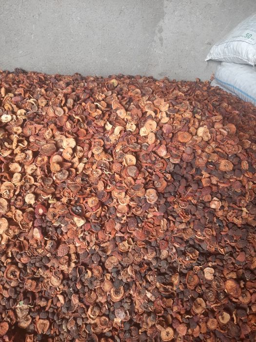 Алма қақ және аралас қақ