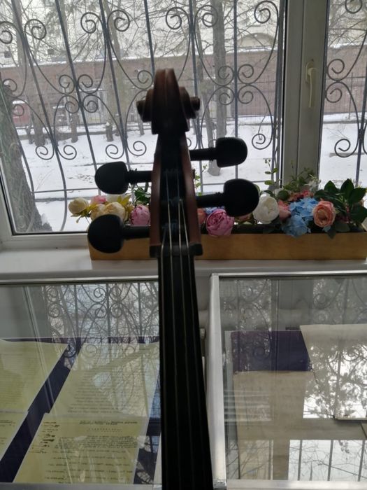 Виолончель  270 000