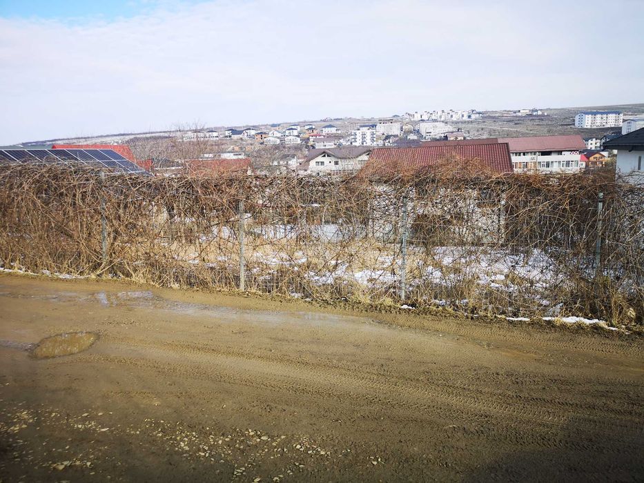 Teren Visan, jud. Iasi