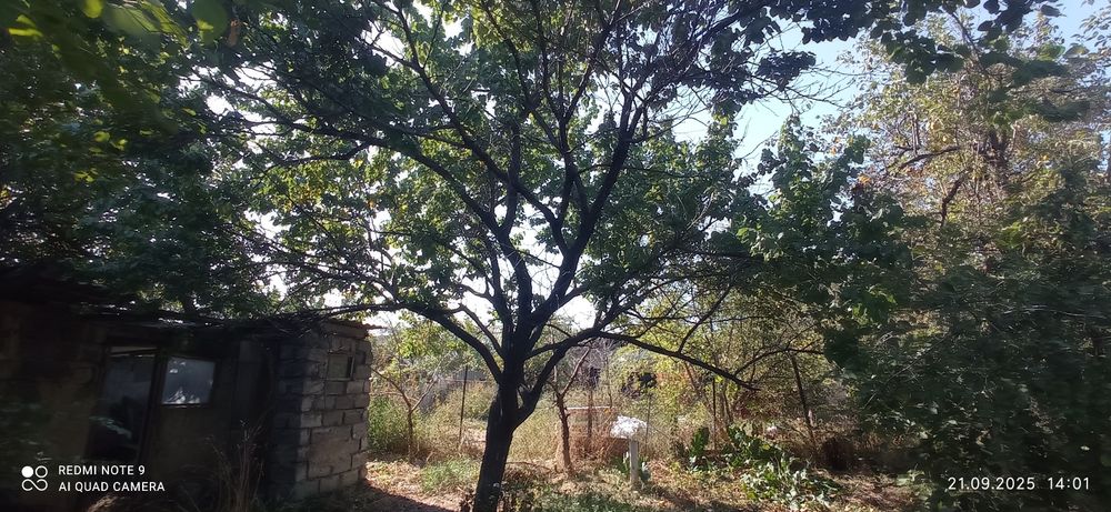 Продам дачу в Городе Алматы! Не пригород!