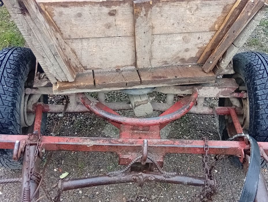 De vazhare iapa 8ani