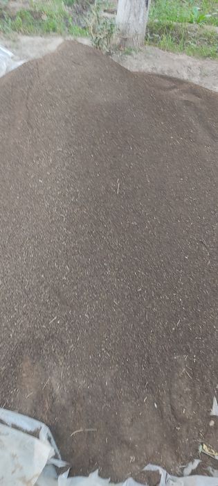 Biogoʻms/Биогумс