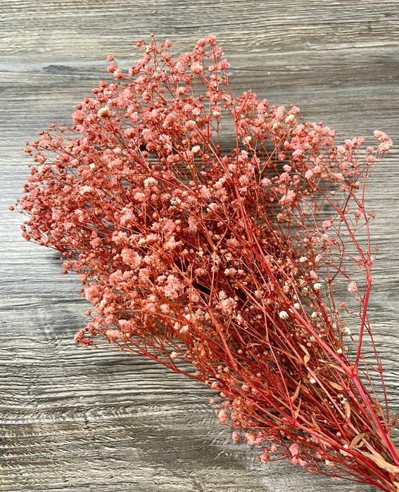 Сухи цветя за аранжиране