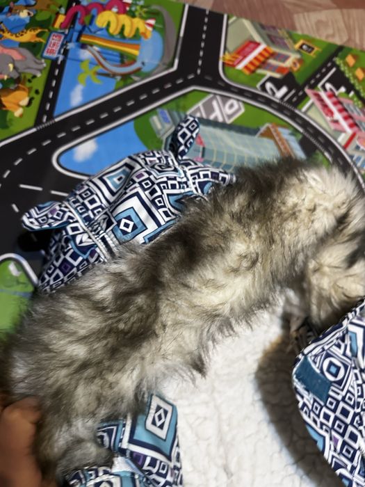 Комбинезон зимний