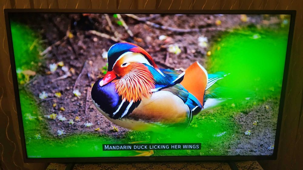 Philips 43" 4K Ultra HD, Smart TV